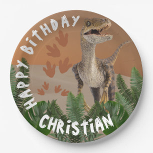 Dinosaur birthday paper plate