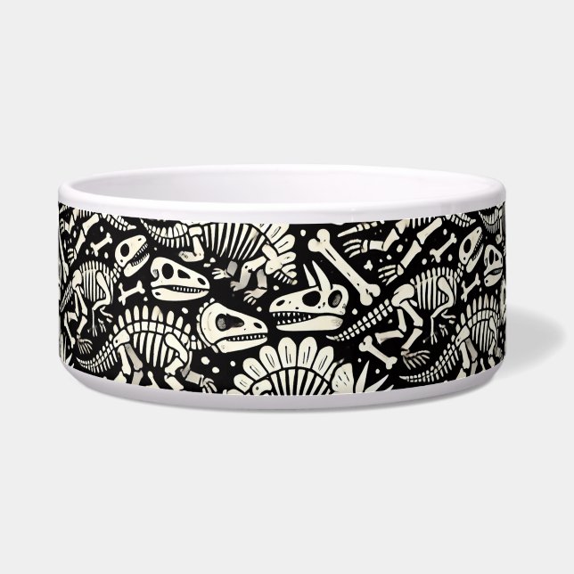 Dinosaur Bone Adventure (Front)