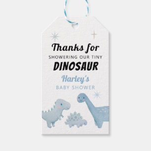 Dinosaur Boy Baby Shower Favour  Gift Tags