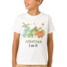 Dinosaur Boy Birthday Tshirts - Matching Kid Party