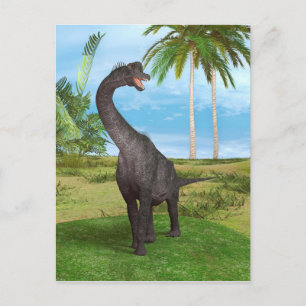 Dinosaur Brachiosaurus Postcard