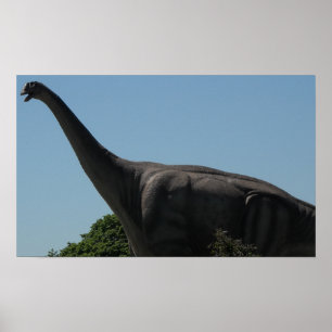 Dinosaur Brontosaurus Poster