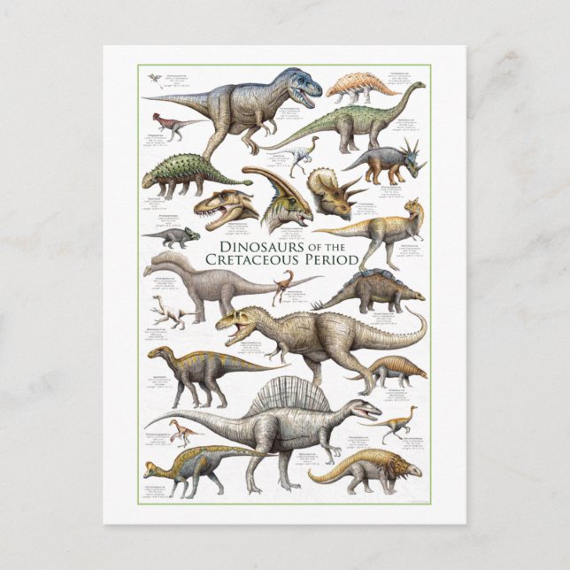 Dinosaur Chart postcard (Front)