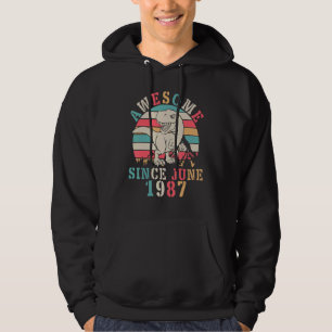 Dinosaur Dance Birthday 35 Years Old Awesome Since Hoodie