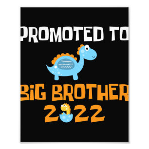 Dinosaur Egg Hatching Promoted To Big Brother Photo Print