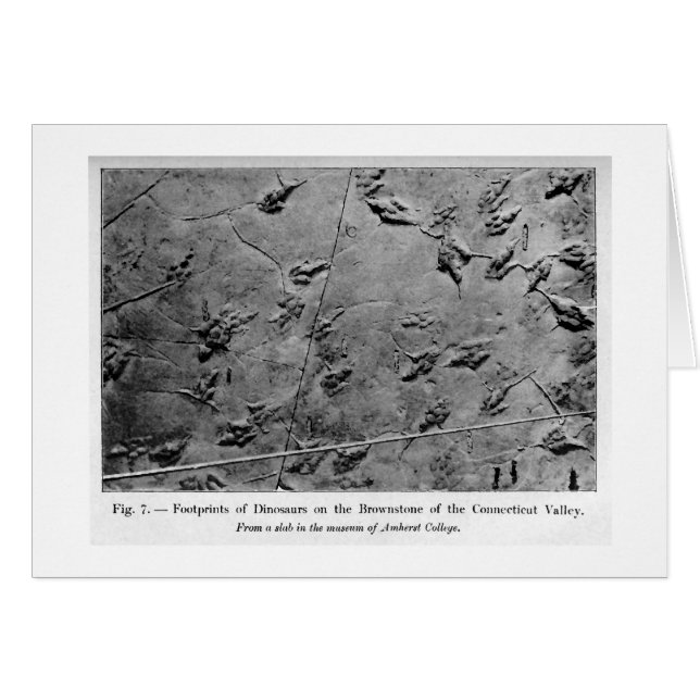 Dinosaur footprints art card (Front Horizontal)