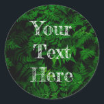 Dinosaur Forest Classic Round Sticker<br><div class="desc">Beautiful prints for any celebration. Add some elegance to you and your loved one's lives.

Photo by Teemu Paananen courtesy of Unsplash.</div>