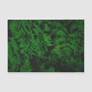 Dinosaur Forest Tissue Paper