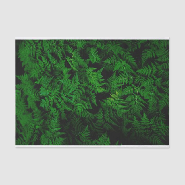 Dinosaur Forest Tissue Paper (Front)