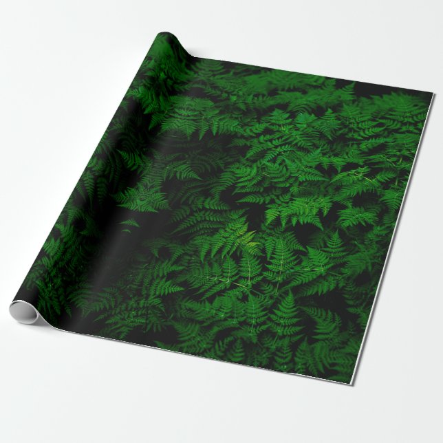 Dinosaur Forest Wrapping Paper (Unrolled)