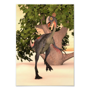 Dinosaur Gigantoraptor Photo Print