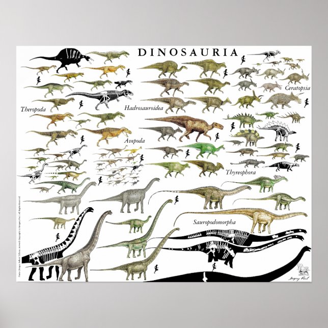 Dinosaur Groups Scale Poster Chart Gregory Paul #1 (Front)