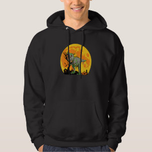 Dinosaur Halloween Mummy Saurus Rex Quote Pumpkin Hoodie