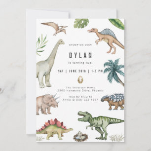 Dinosaur Kids Birthday Party Invitation