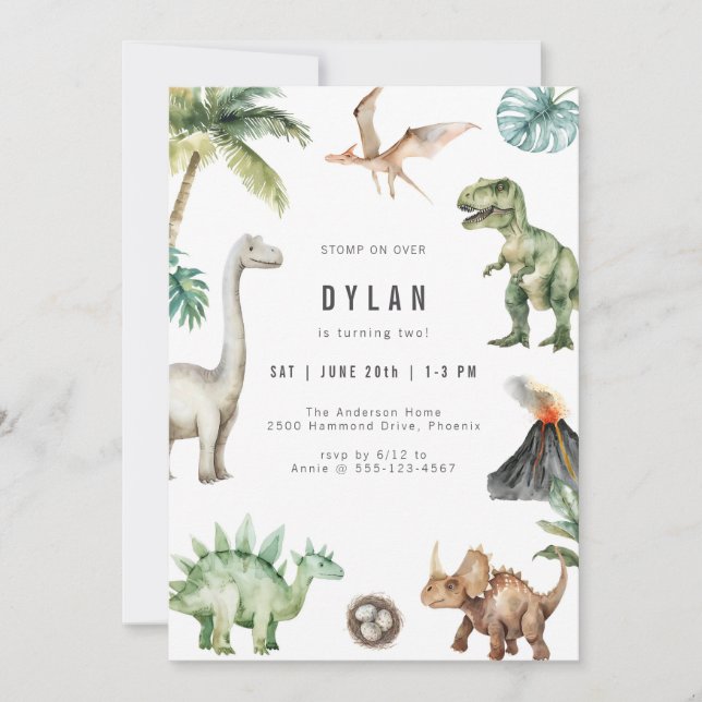 Dinosaur Kids Birthday Party Invitation (Front)
