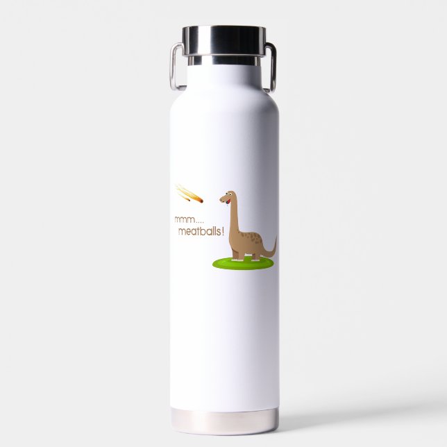 Dinosaur Meteor Meatballs Water Bottle (Front)