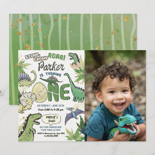 Dinosaur Party Theme Dinosaur 1st Birthday Invitation (Front/Back)