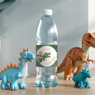 Dinosaur Party Water Bottle Labels
