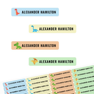 Dinosaur Personalised Kids Name School Waterproof