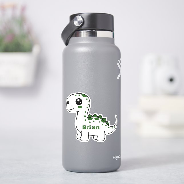 Dinosaur Personalised Name Funny cute   (HydroFlask)
