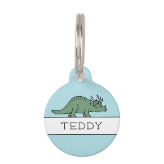 DINOSAUR PET TAG