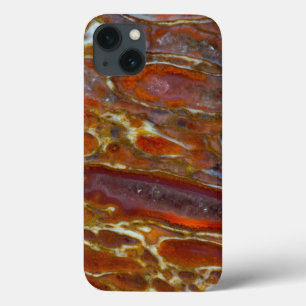 Dinosaur Petrified Bone iPhone 13 Case