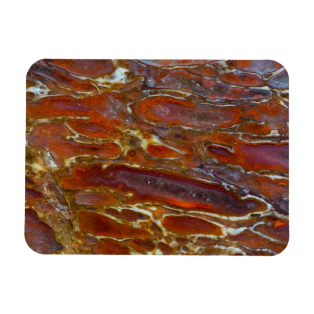 Dinosaur Petrified Bone Magnet (Horizontal)