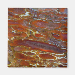 Dinosaur Petrified Bone Magnet