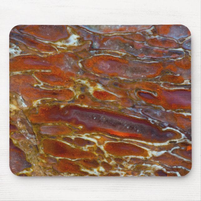 Dinosaur Petrified Bone Mouse Mat (Front)