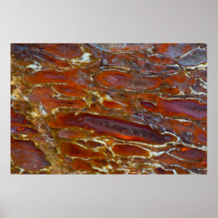 Dinosaur Petrified Bone Poster