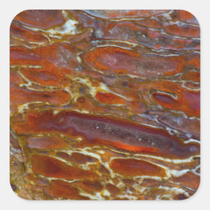 Dinosaur Petrified Bone Square Sticker
