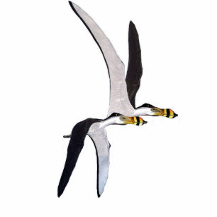 Dinosaur Photo Sculpture Anhanguera Gregory Paul