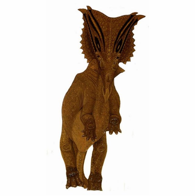 Dinosaur Photo Sculpture Chasmosaurus Gregory Paul (Front)