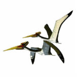 Dinosaur Photo Sculpture Pterosaurs Gregory Paul<br><div class="desc">This photo sculpture is of the painted Quetzalcoaltus by Gregory S. Paul. Second in the Cretaceous line-up.</div>