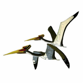 Dinosaur Photo Sculpture Pterosaurs Gregory Paul