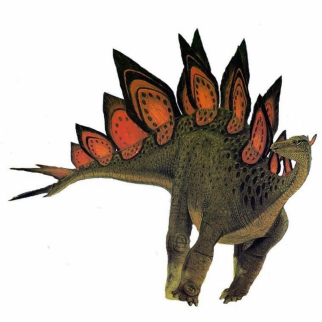 Dinosaur Photo Sculpture Stegosaurus Gregory Paul (Front)