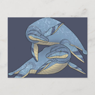 Dinosaur postcard - Kronosaurus