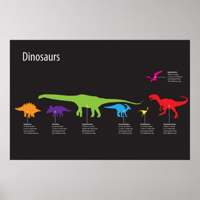 Dinosaur Poster (Front)