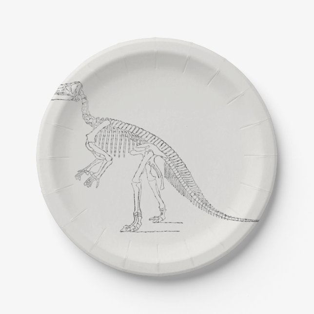 Dinosaur Skeleton Art Paper Plate (Front)