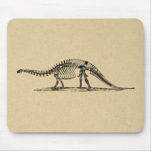 Dinosaur Skeleton Vintage Art Mouse Mat