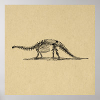 Dinosaur Skeleton Vintage Art