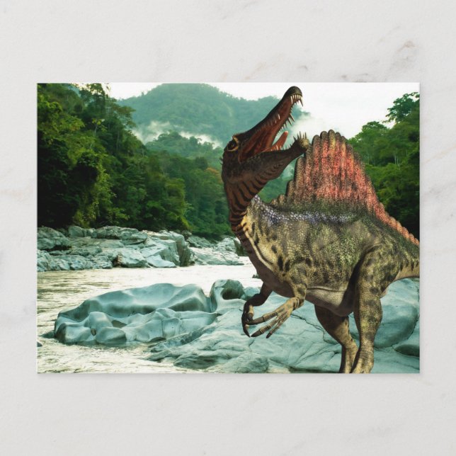 Dinosaur  Spinosaurus  Postcard (Front)