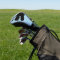 DINOSAUR T-REX GOLF DRIVER COVER PERSONALIZED
