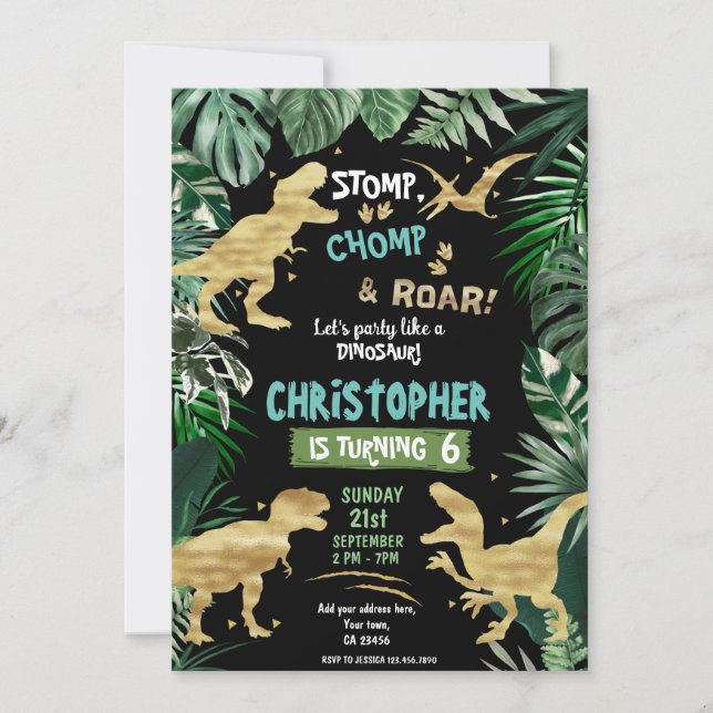 Dinosaur Theme Birthday Party  Invitation (Front)