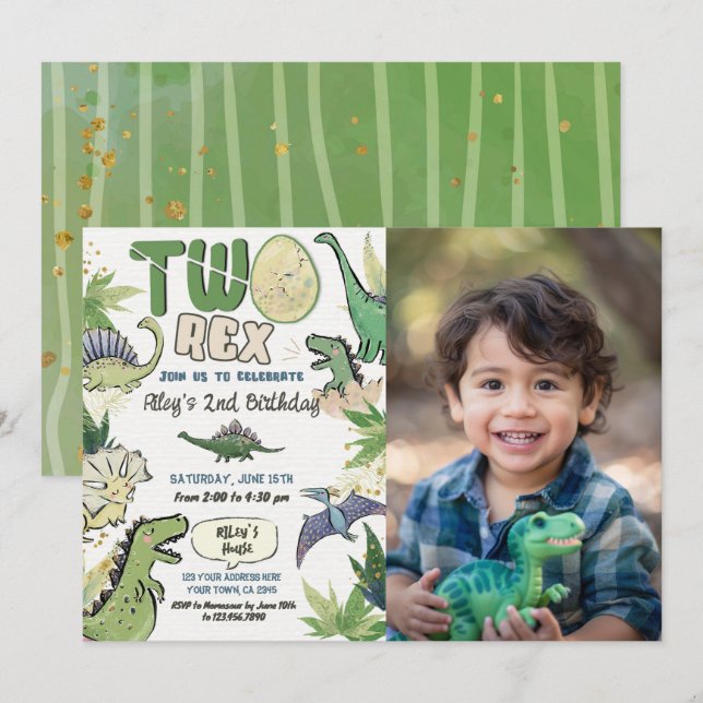 Dinosaur Themed Party 2nd Birthday Invitation (Front/Back)