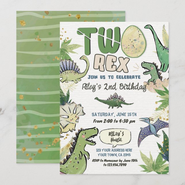 Dinosaur Themed Party 2nd Birthday Invitation (Front/Back)