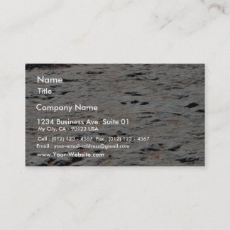 Dinosaur Tracks Business Card