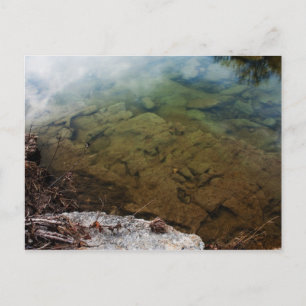 Dinosaur Tracks in Texas 3 postcard