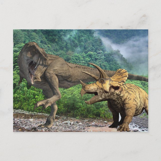 Dinosaur Tyrannosaurus Triceratops  Postcard (Front)