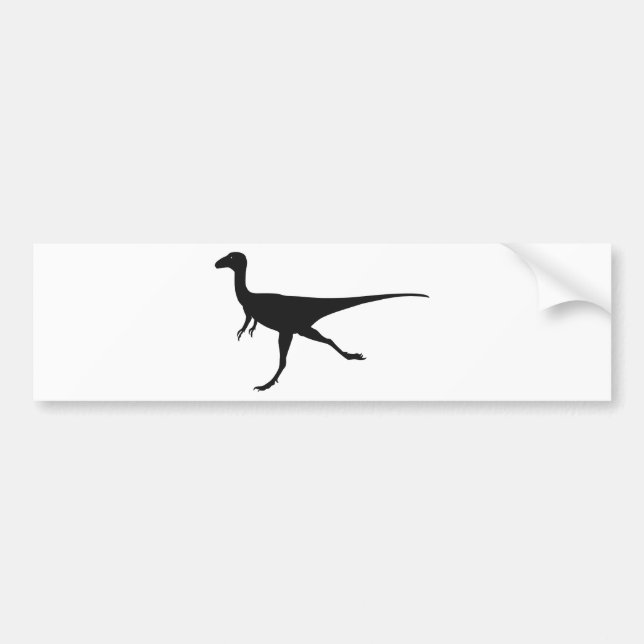 dinosaurs bumper sticker (Front)